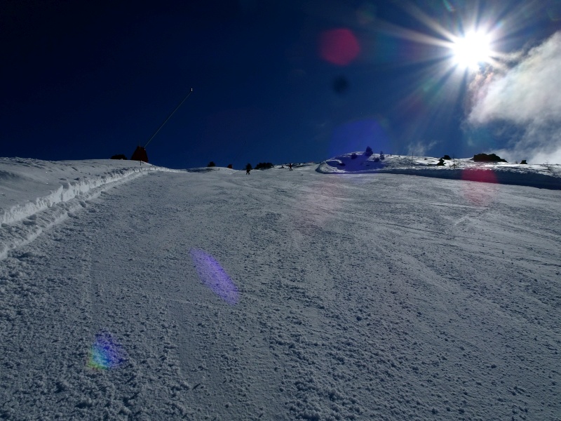 dsc09335dciyj.jpg