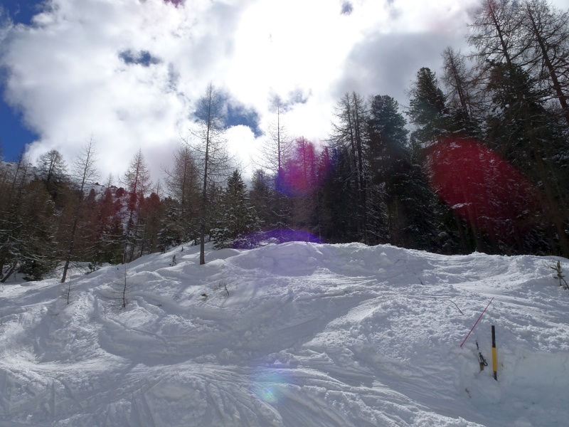 dsc09370r1iw3.jpg