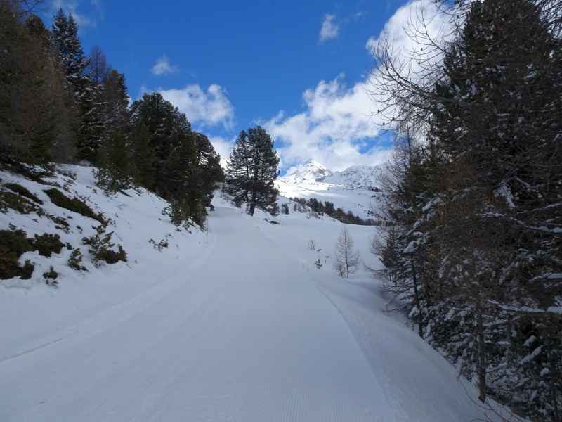 dsc09375vfihg.jpg