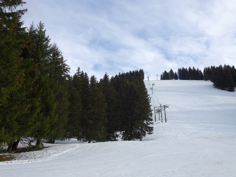dsc09394wtjpf.jpg