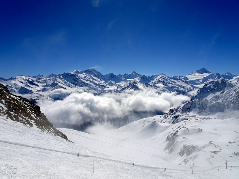 dsc09431zgcg5.jpg