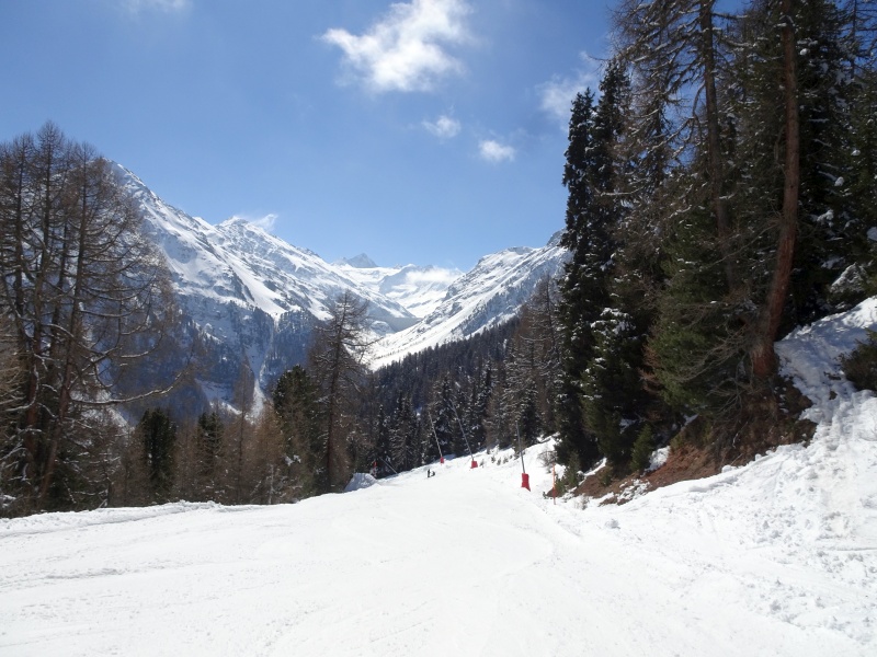 dsc094407gi70.jpg