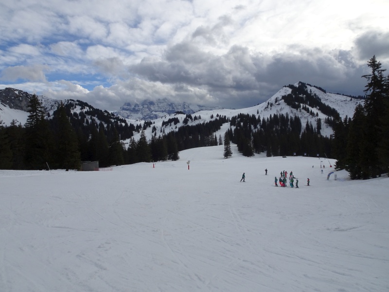 dsc09444ikkkc.jpg
