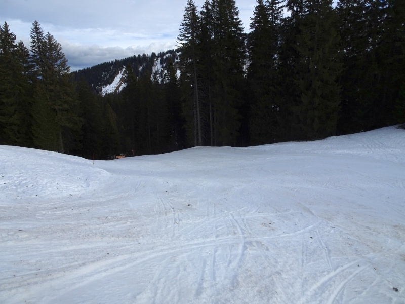 dsc094519rkf7.jpg