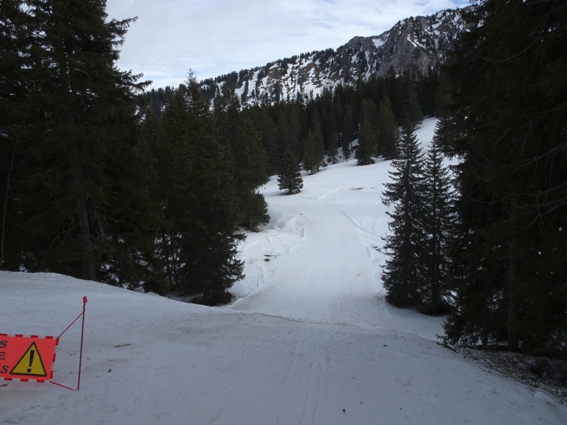 dsc09452hrkj1.jpg