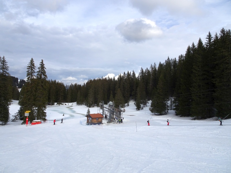 dsc09457dkjd3.jpg