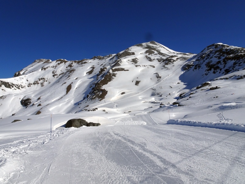 dsc09469olcce.jpg