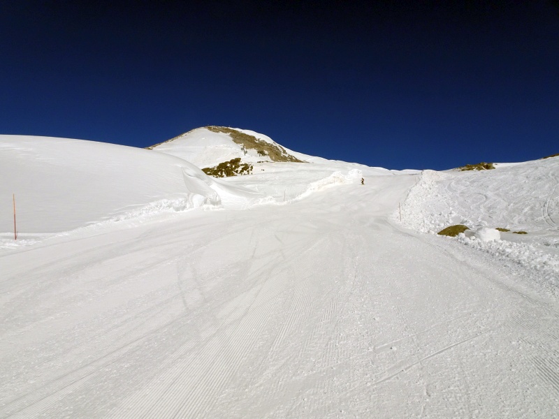 dsc09475vjcmz.jpg
