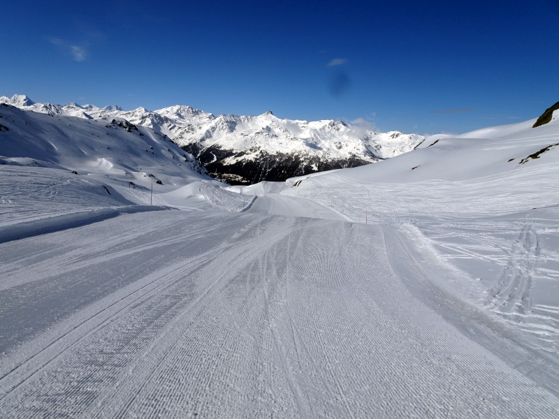 dsc09478c0de6.jpg