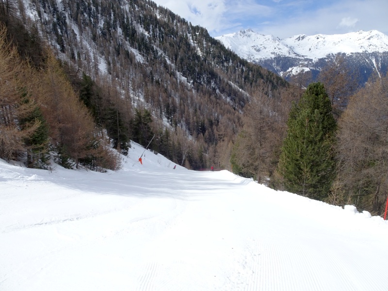 dsc09512z6dw8.jpg
