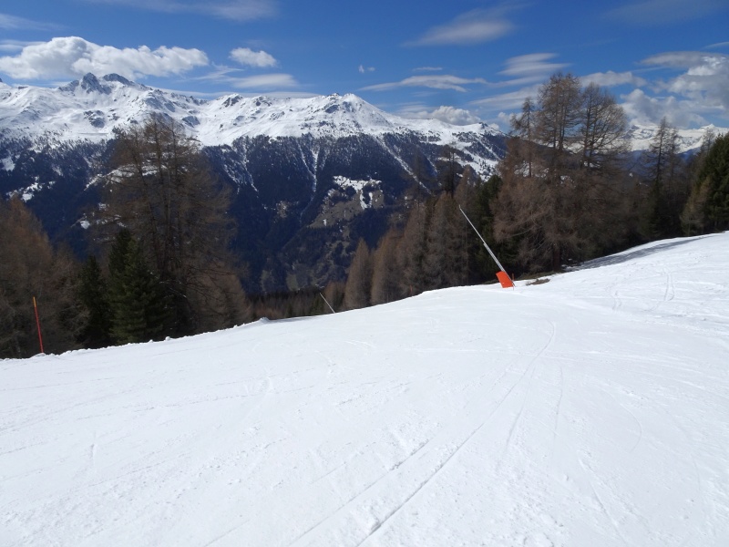 dsc09526d6ir5.jpg