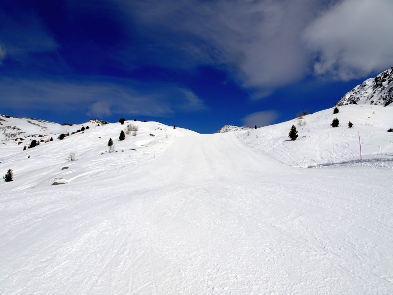 dsc0953815cg9.jpg