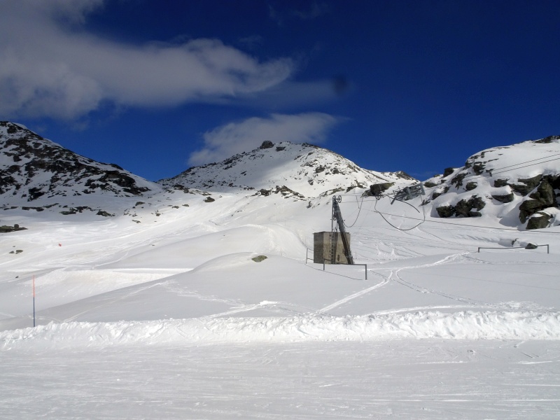 dsc09548b3cy8.jpg