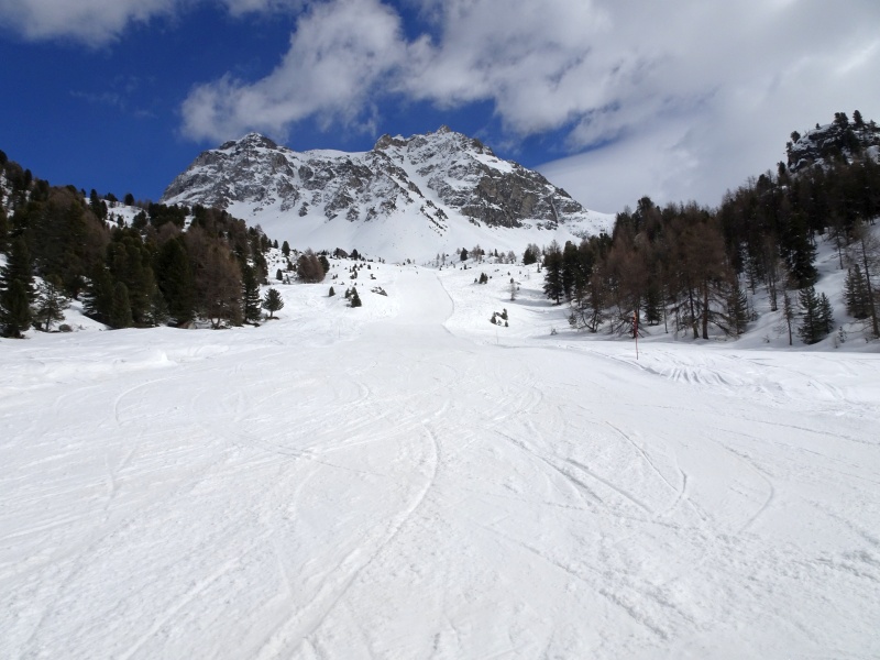 dsc0955988d2w.jpg