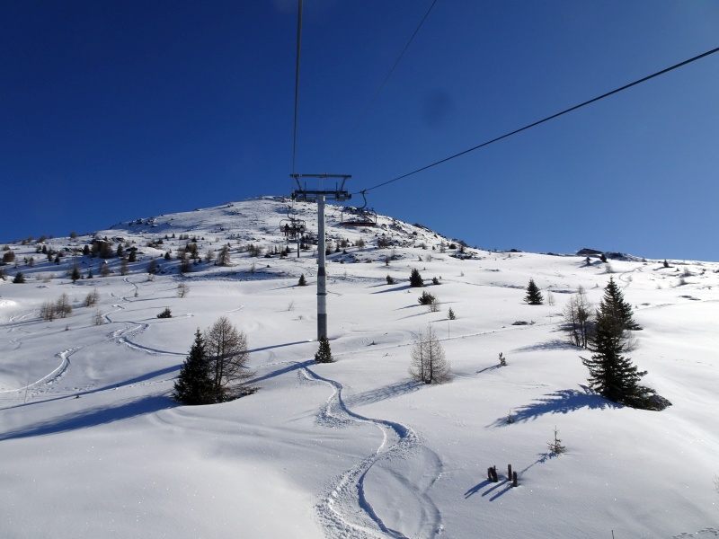 dsc09678tydm2.jpg