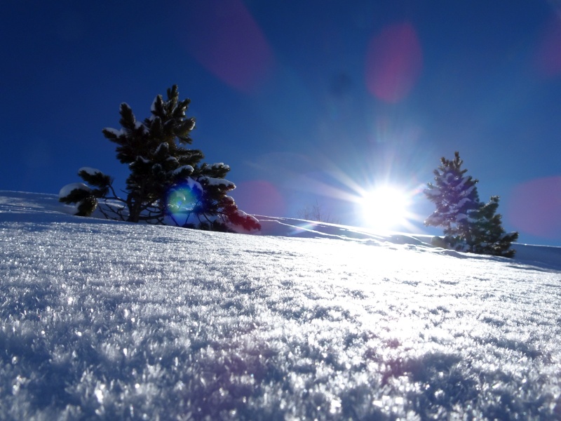dsc09694gwexv.jpg