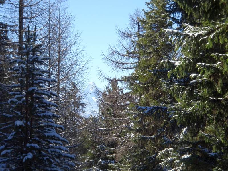 dsc09696z1i28.jpg