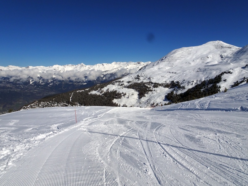 dsc09698cdizl.jpg