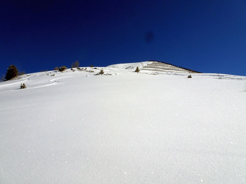 dsc0970066ela.jpg
