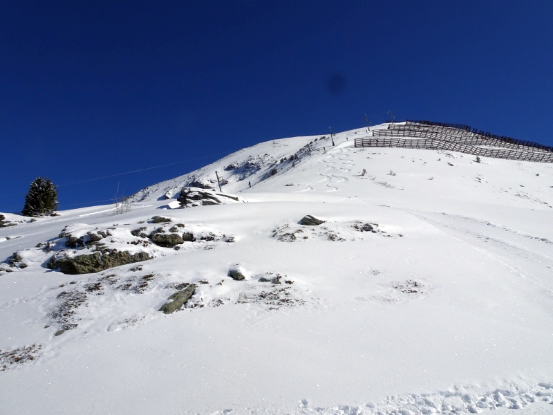 dsc09711nbiya.jpg