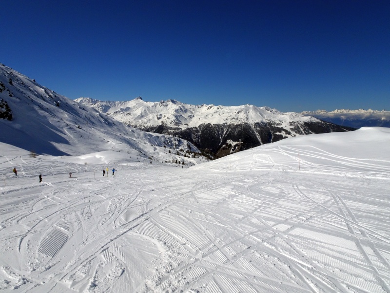dsc097169ccs4.jpg