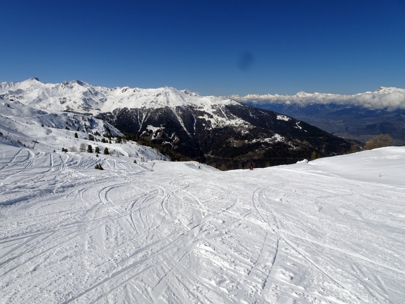 dsc09717cufkp.jpg