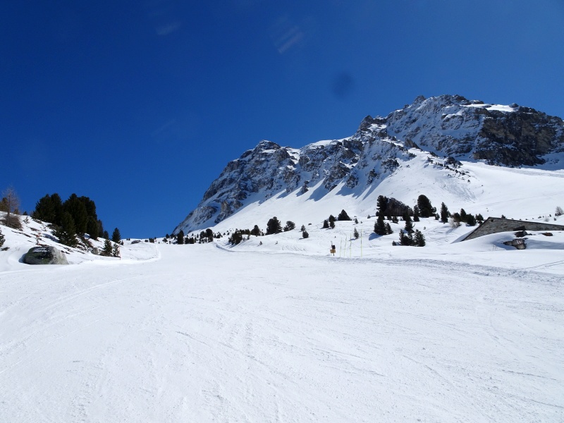 dsc09728jcdet.jpg
