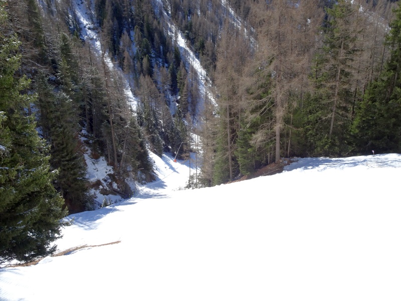 dsc09729xad3w.jpg