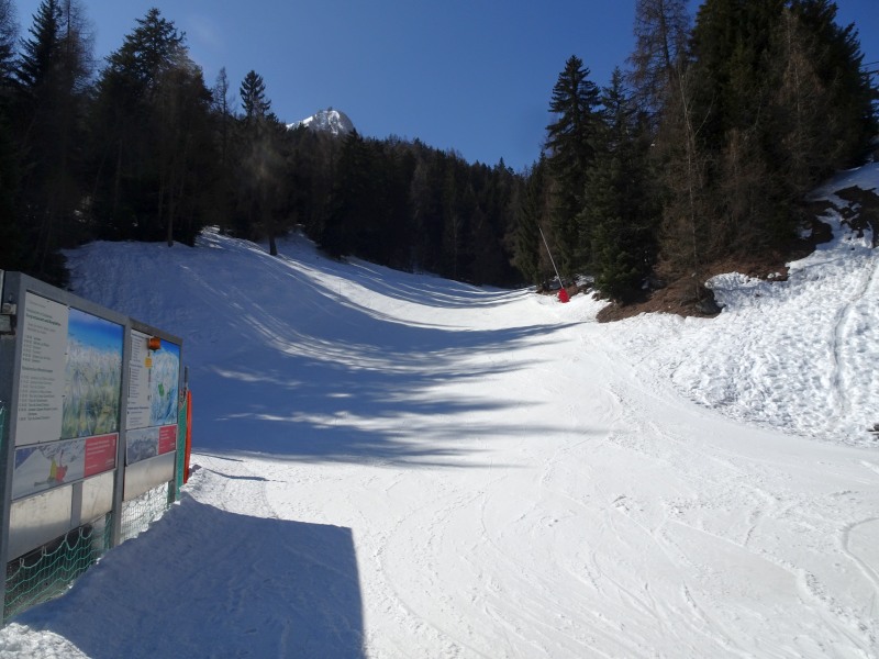 dsc09759s6j3g.jpg