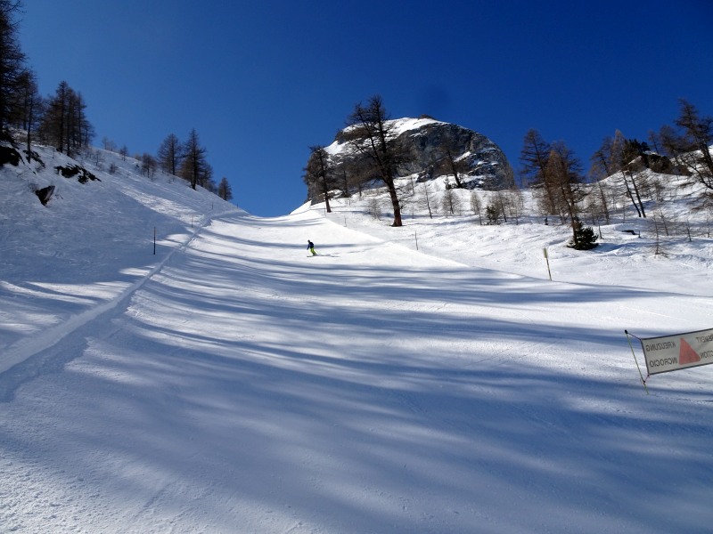 dsc09867bvkxq.jpg