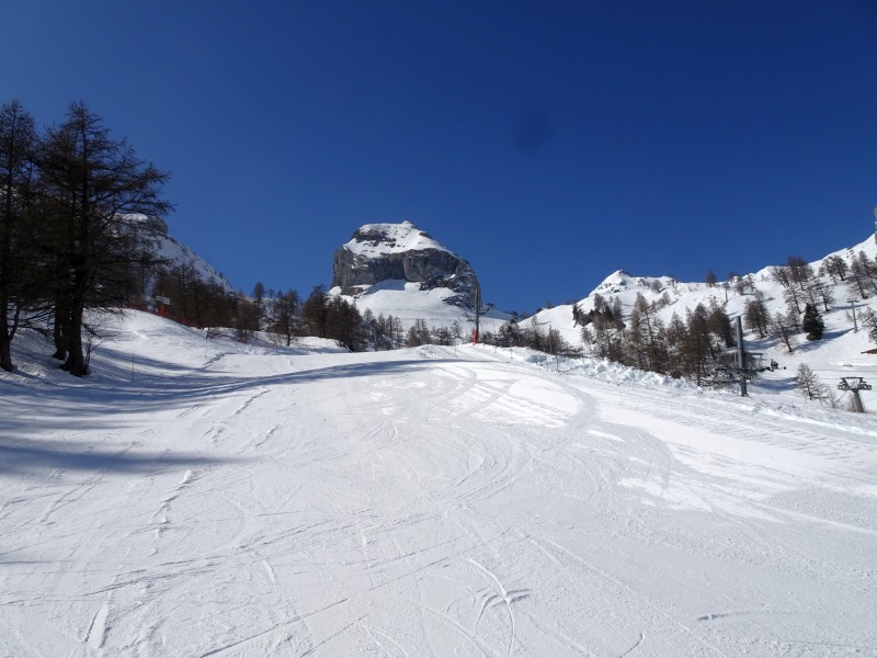 dsc09901a4k9r.jpg