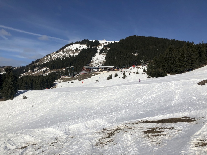 img_8235cmcjf.jpg