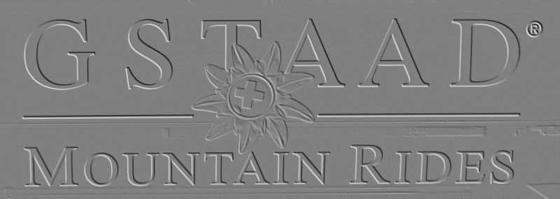 logo0qsgv.jpg