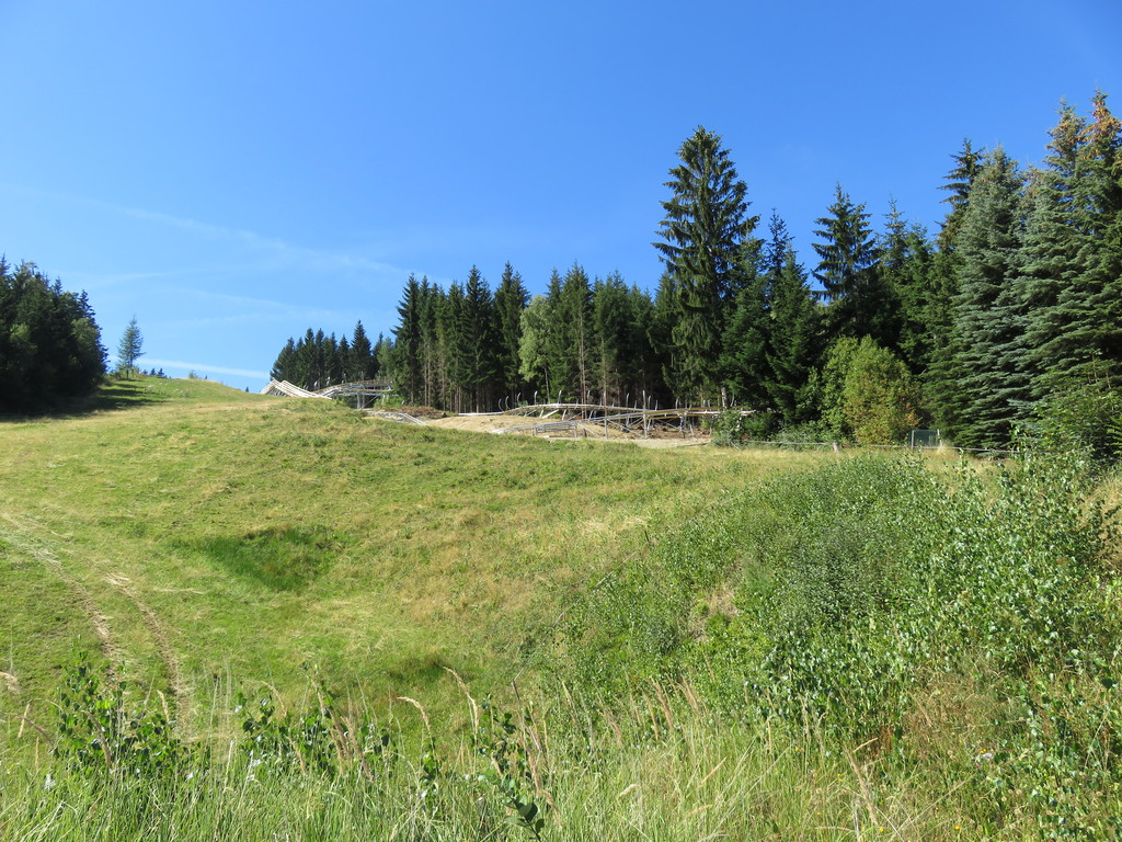 img_0031ywpi1.jpg