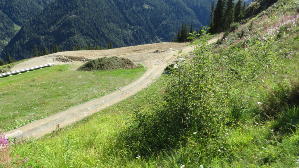 img_1360arjib.jpg