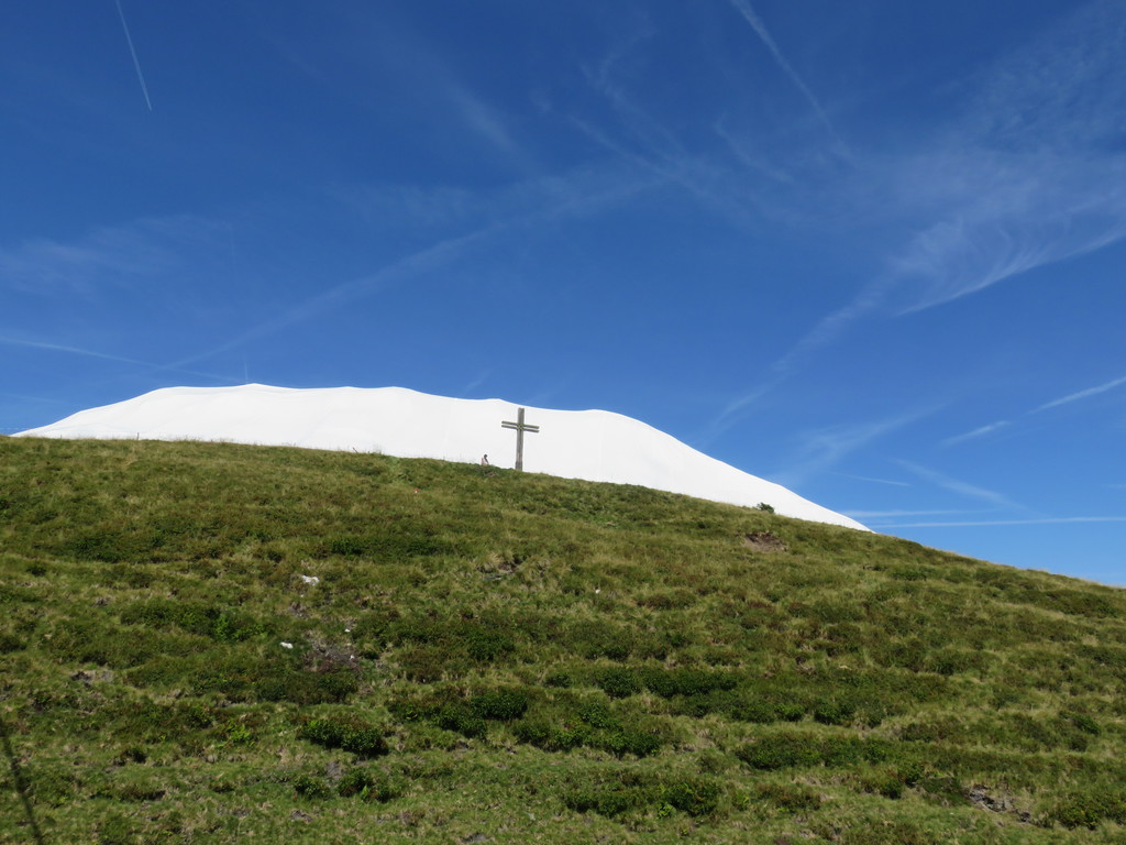 img_31659kir3.jpg