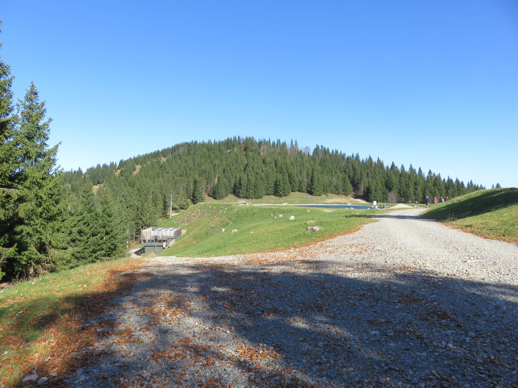 img_5215mgkr3.jpg