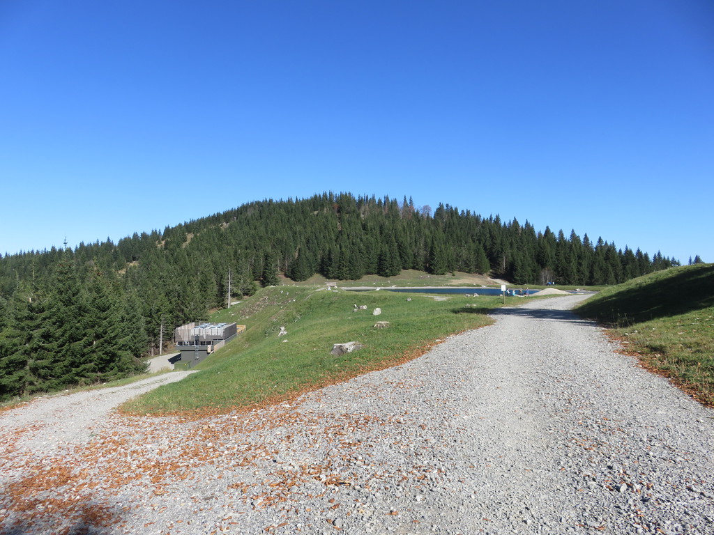 img_521786klr.jpg