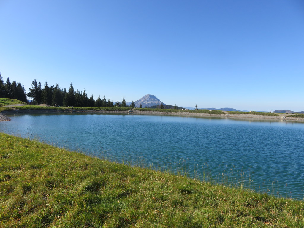 img_5224o6kms.jpg