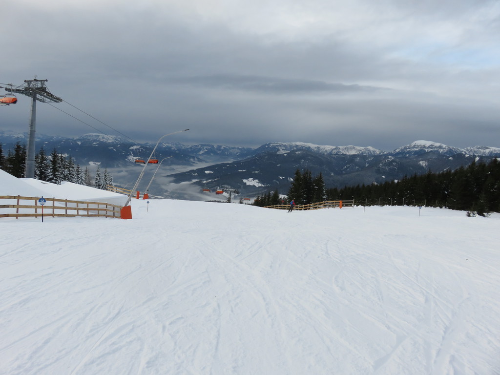 img_6805ladel.jpg