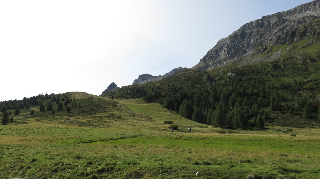 img_7340kvsc7.jpg