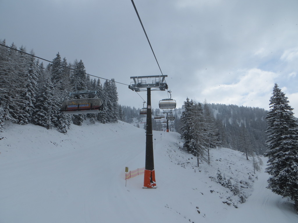 img_91082lkfa.jpg