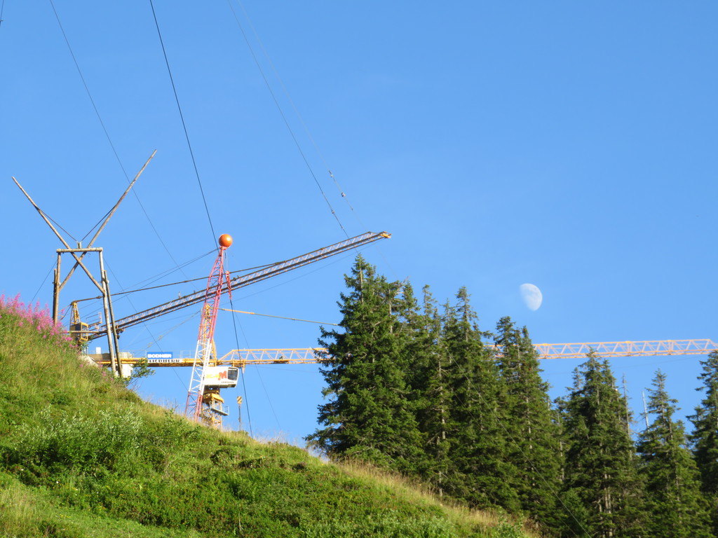 img_9602nzkfo.jpg