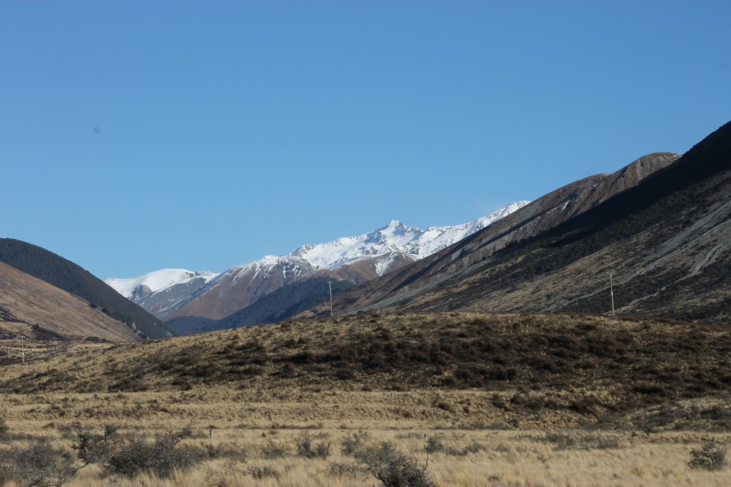 img_3519mnc18.jpg