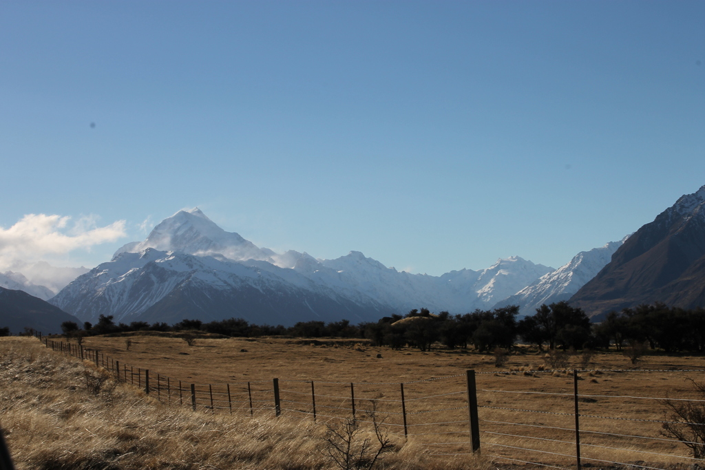 img_3607pmcpj.jpg