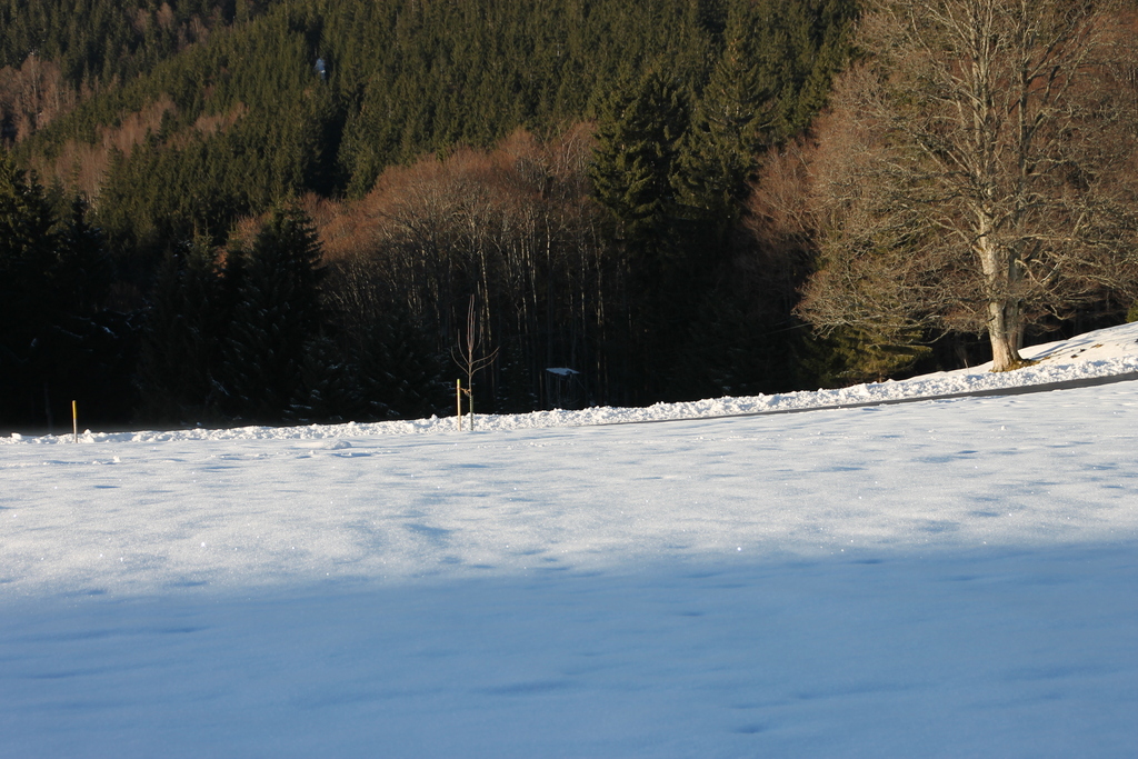 img_6140n7j9j.jpg