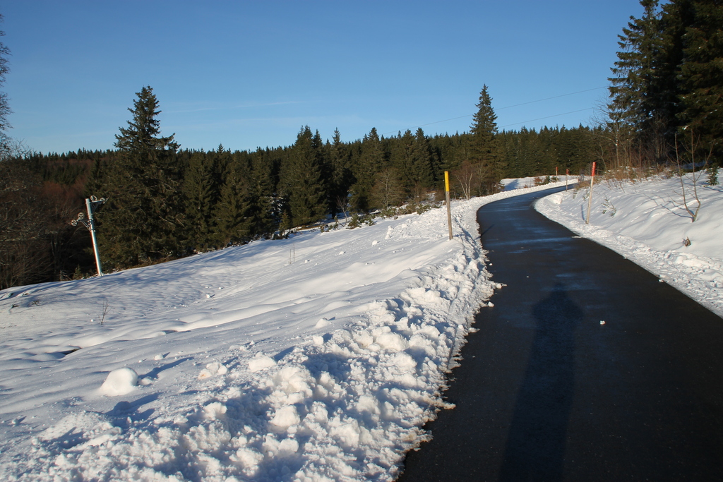 img_6174l4r66.jpg