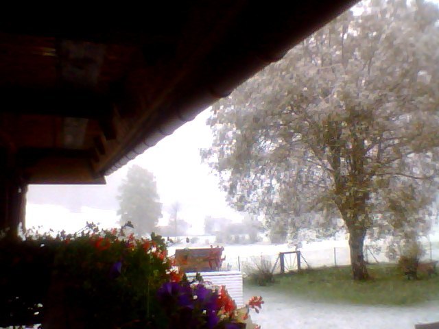wintereinbruch212p1e.jpg