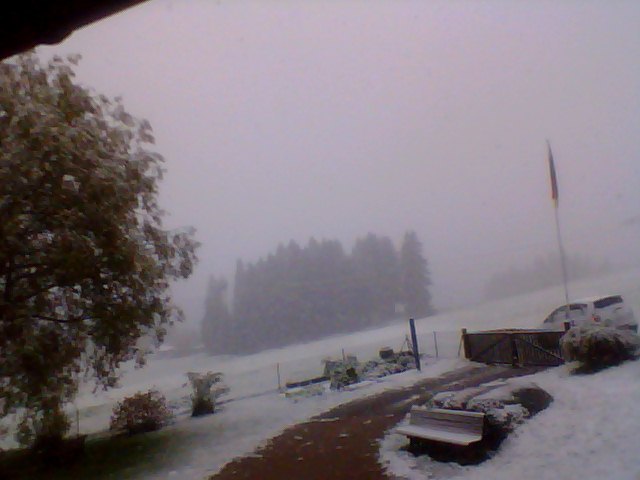 wintereinbruch23ppjo.jpg