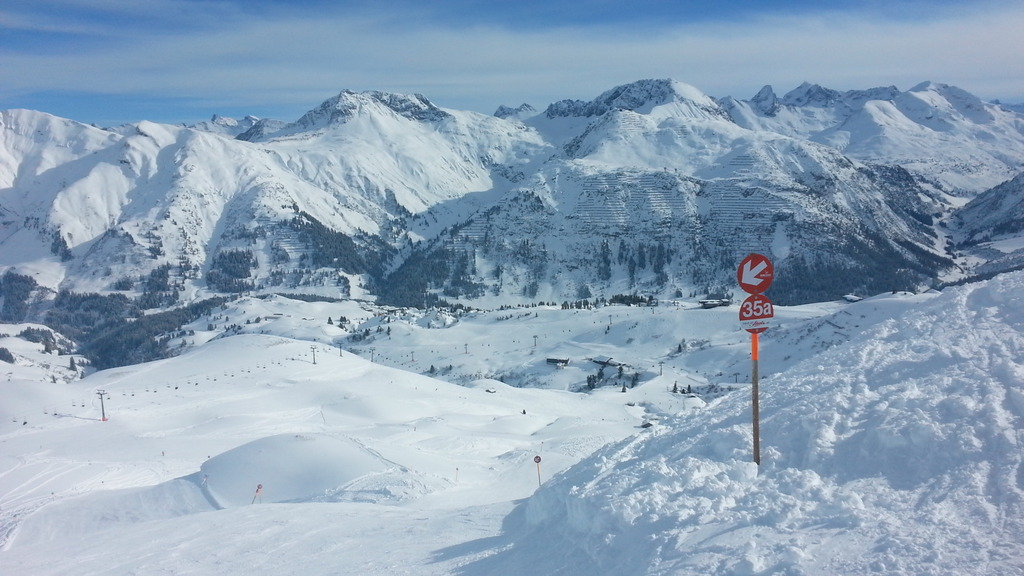 20150204_13144416dutz.jpg